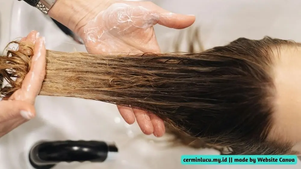 solusi rambut rontok